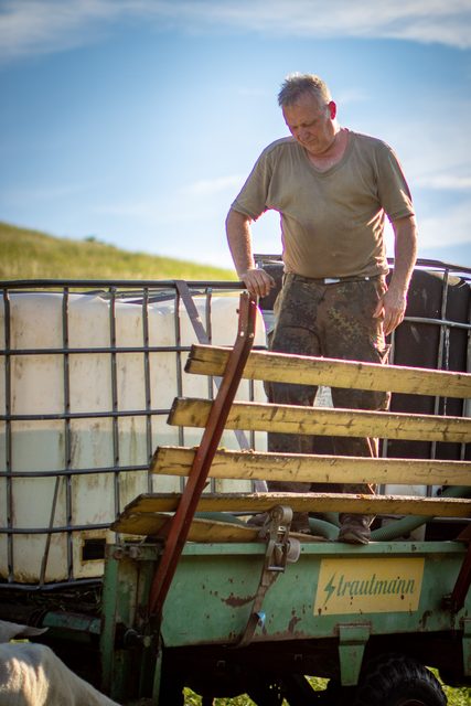 Der Schäfer auf dem Anhänger zwischen den Wassertanks im Abendlicht