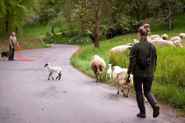 Reportage